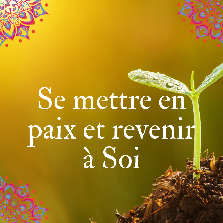 Prestations(10) séance individuelle Nathalie Dewez Thérapeute